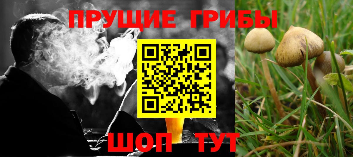 Галлюциногенные грибы мицелий  Вход с VPN  Дятьково  Псилоцибиновые грибы прущие грибы 