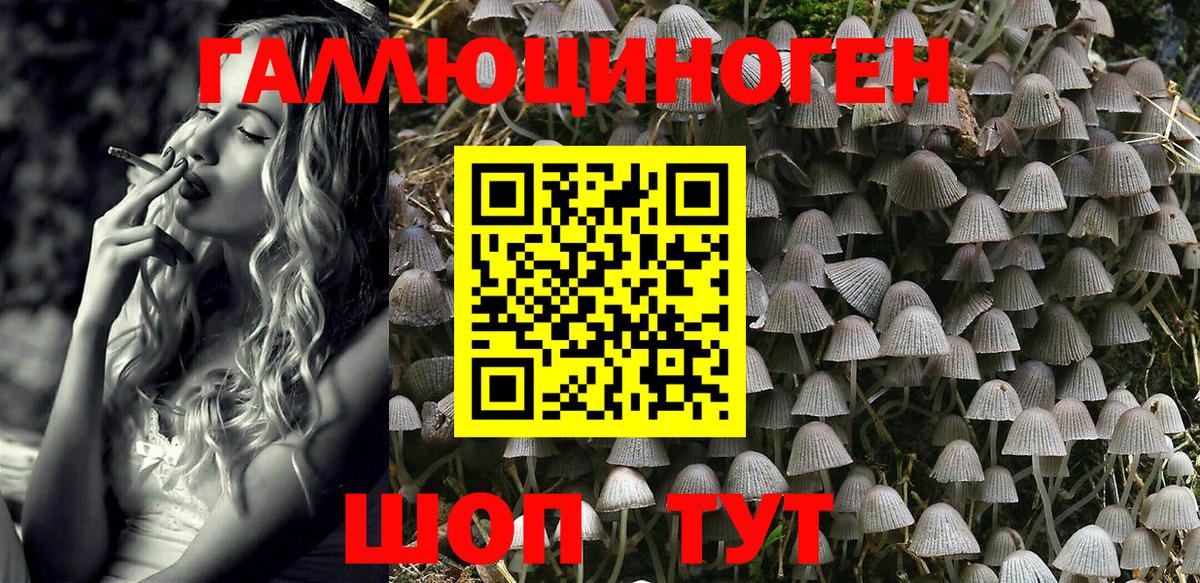 Псилоцибиновые грибы прущие грибы Дятьково